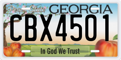 GA license plate CBX4501