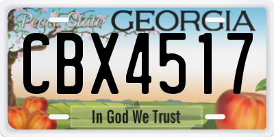 GA license plate CBX4517