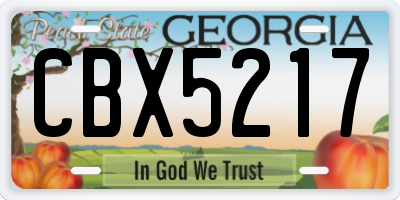 GA license plate CBX5217