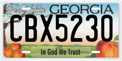 GA license plate CBX5230
