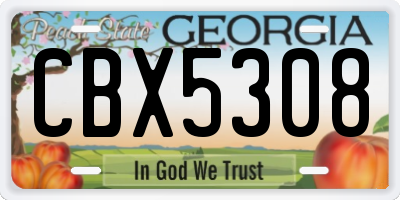 GA license plate CBX5308