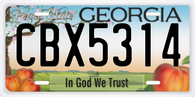 GA license plate CBX5314