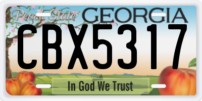 GA license plate CBX5317