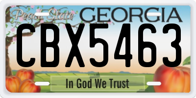 GA license plate CBX5463