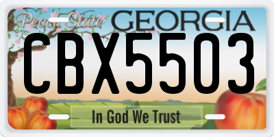 GA license plate CBX5503