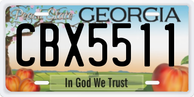 GA license plate CBX5511