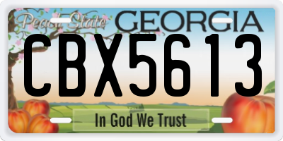 GA license plate CBX5613