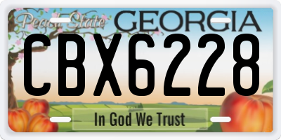 GA license plate CBX6228