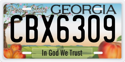 GA license plate CBX6309