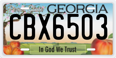 GA license plate CBX6503