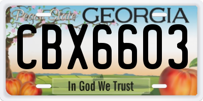 GA license plate CBX6603