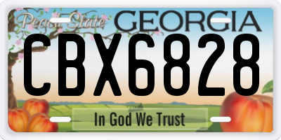 GA license plate CBX6828