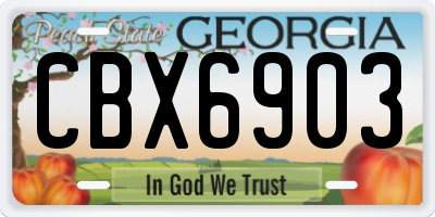 GA license plate CBX6903