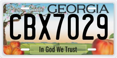 GA license plate CBX7029
