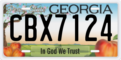 GA license plate CBX7124