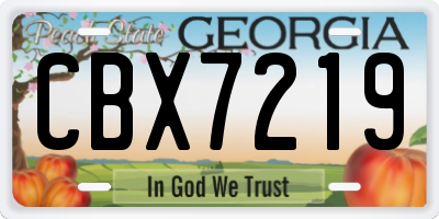 GA license plate CBX7219