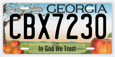 GA license plate CBX7230