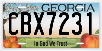 GA license plate CBX7231