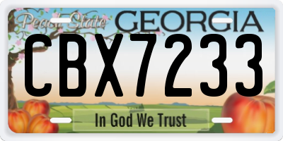 GA license plate CBX7233
