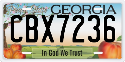 GA license plate CBX7236