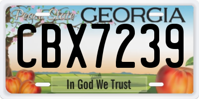 GA license plate CBX7239