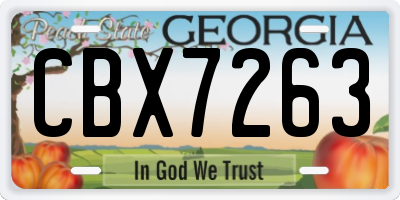 GA license plate CBX7263