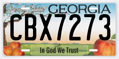 GA license plate CBX7273