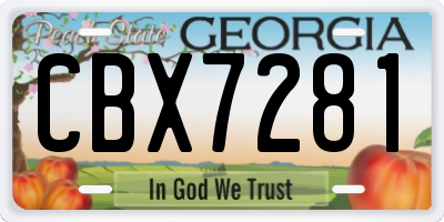 GA license plate CBX7281