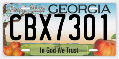 GA license plate CBX7301