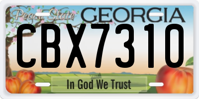 GA license plate CBX7310