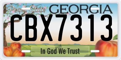 GA license plate CBX7313