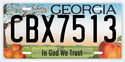 GA license plate CBX7513