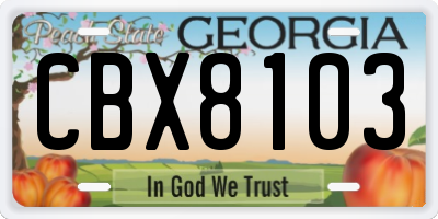 GA license plate CBX8103