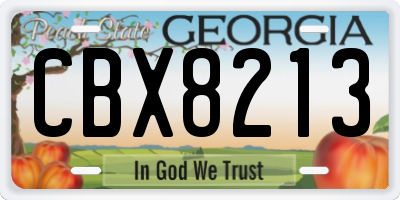 GA license plate CBX8213