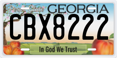 GA license plate CBX8222