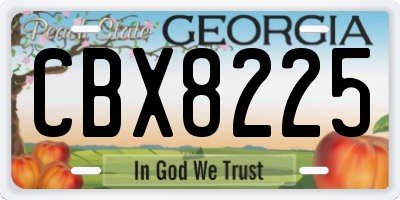GA license plate CBX8225