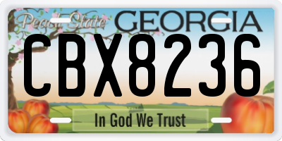 GA license plate CBX8236