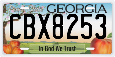 GA license plate CBX8253