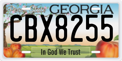 GA license plate CBX8255