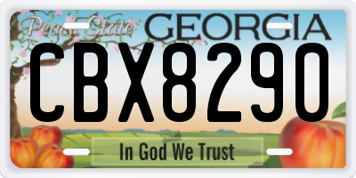GA license plate CBX8290
