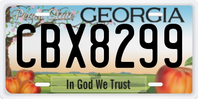 GA license plate CBX8299