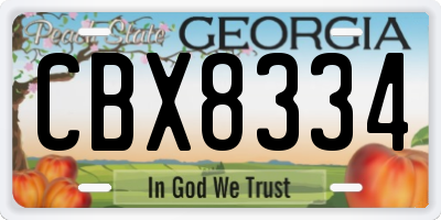 GA license plate CBX8334