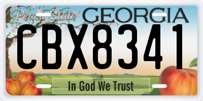 GA license plate CBX8341