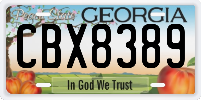 GA license plate CBX8389