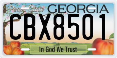 GA license plate CBX8501