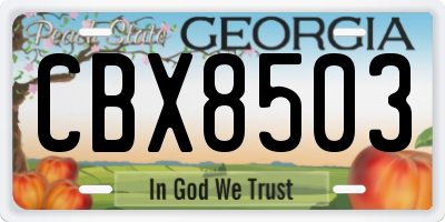 GA license plate CBX8503