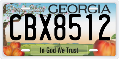 GA license plate CBX8512