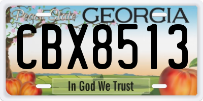 GA license plate CBX8513