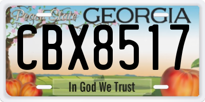 GA license plate CBX8517
