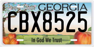 GA license plate CBX8525